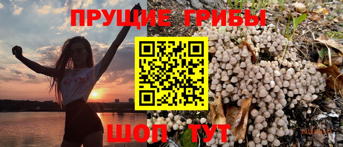Галлюциногенные грибы ЛСД Чапаевск