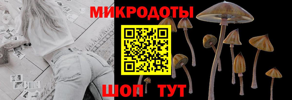 Чапаевск  Псилоцибиновые грибы прущие грибы  Вход с VPN  Псилоцибиновые грибы ЛСД 